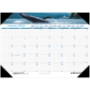 Recycled Monthly Desk Pad Calendar, 12 Month, 18-1/2" x 13", Sea Life Photographic, Jan 2025 - Dec 2025