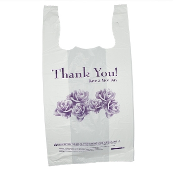 CSITSBAG16TY300