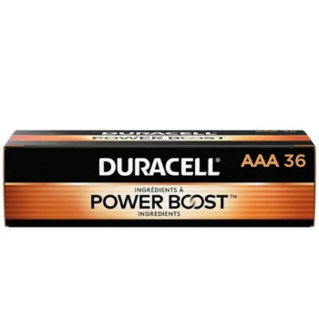 Duracell Coppertop AAA Alkaline Batteries, 36/Pack