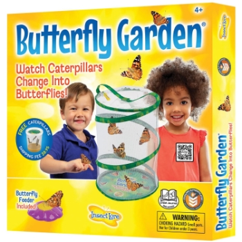 Insect Lore Butterfly Garden Growing Kit