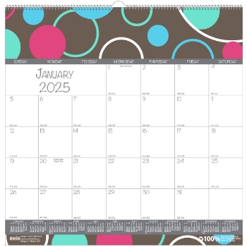 House of Doolittle 100% Recycled Wall Calendar, 12 Month, 12&quot; x 12&quot;, Bubbleluxe, Jan 2025 - Dec 2025