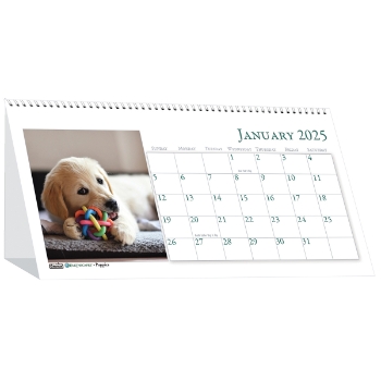 House of Doolittle Recycled Desk Tent Monthly Calendar, 12 Month, 8-1/2&quot; x 4-1/2&quot;, Puppy Photos, Jan 2025 - Dec 2025