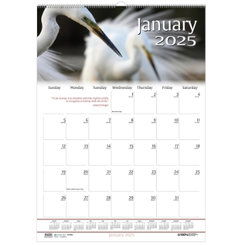 House of Doolittle Recycled Monthly Wall Calendar, 12 Month, 12&quot; x 16-1/2&quot;, Wildlife Scenes, Jan 2025 - Dec 2025