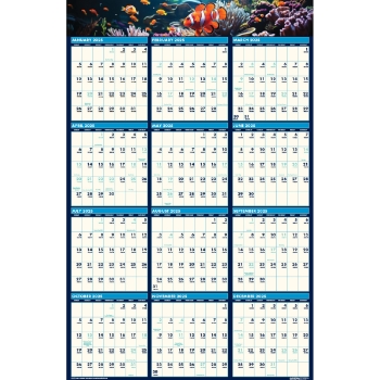 House of Doolittle Recycled Reversible Wall Calendar, 12 Month, 24&quot; x 37&quot;, Earthscapes Sea Life Scenes, Jan 2025 - Dec 2025