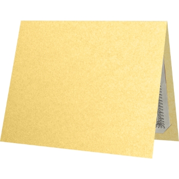 JAM Paper LUXPaper Certificate Holders, 105 lb, 9-1/2&quot; x 12&quot;, Gold Metallic, 25/Pack