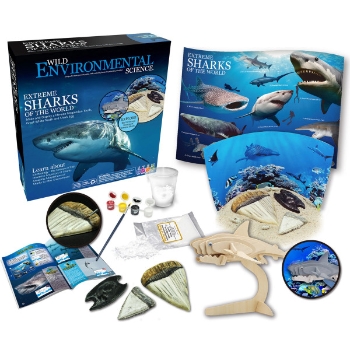 Learning Advantage Extreme Sharks of the World Models and Dioramas, Ages 6 and Up