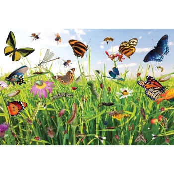 Mojo Education Bug-Tastic Floor Puzzle, Ages 3 and Up, 48 Pieces