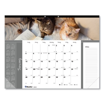 Blueline The Colorful Monthly Cat Desk Pad Calendar, 12 Month, 22&quot; x 17&quot;, January 2025 - December 2025