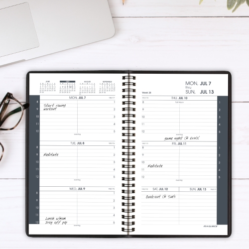 ATAGLANCE Hourly/Weekly Appointment Book, 14 Month, 47/8" x 8