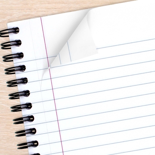 Cambridge Limited Wirebound Business Notebook, Legal Ruled, 5