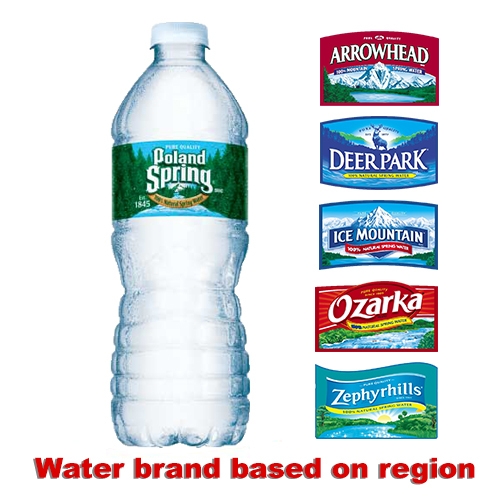Poland Spring Natural Spring Water, 16.9 oz Bottle, 24/Carton W.B. Mason