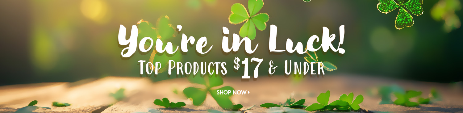 Save on 17 Dollar and Under Deals