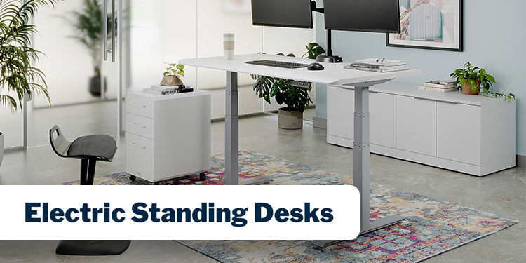 Shop Electric Standing Desks